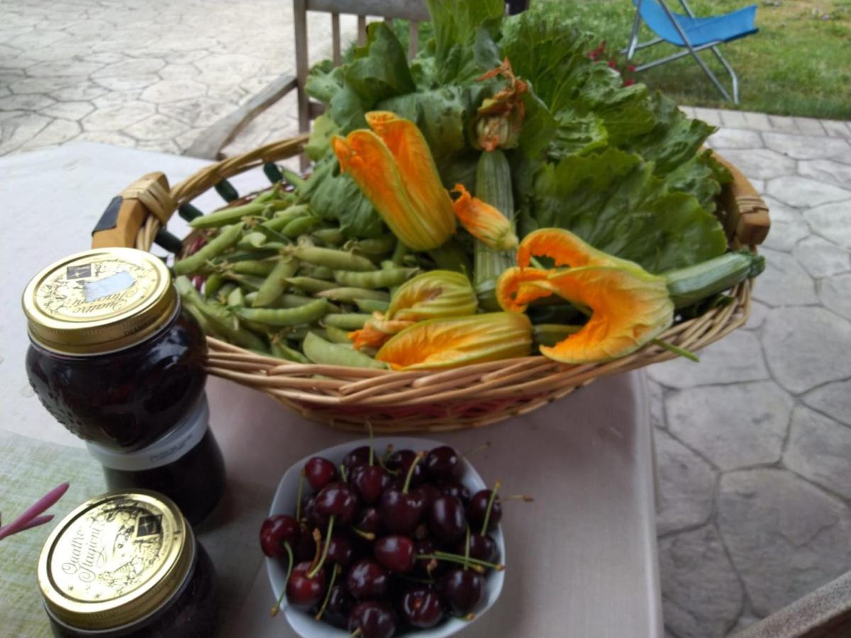 Agriturismo Allo Scoglio - Azienda Agricola Trieste Dış mekan fotoğraf